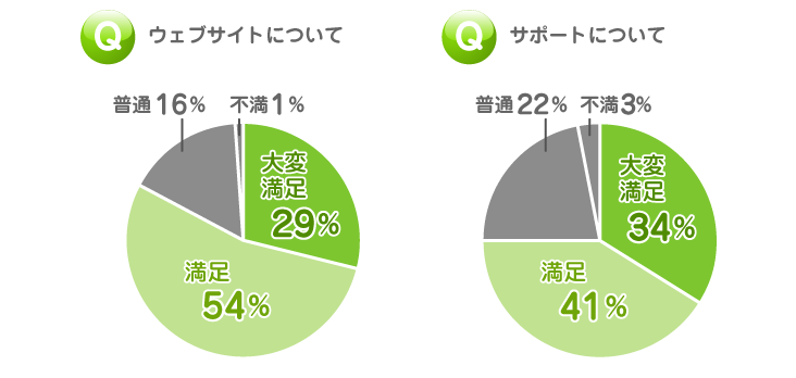 オンライン英会話|ウェブサイトのグラフ